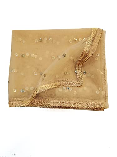Women's Net Embroidered Full Size Dupatta (42" X 2.50 Meters) (2352 - Gold)