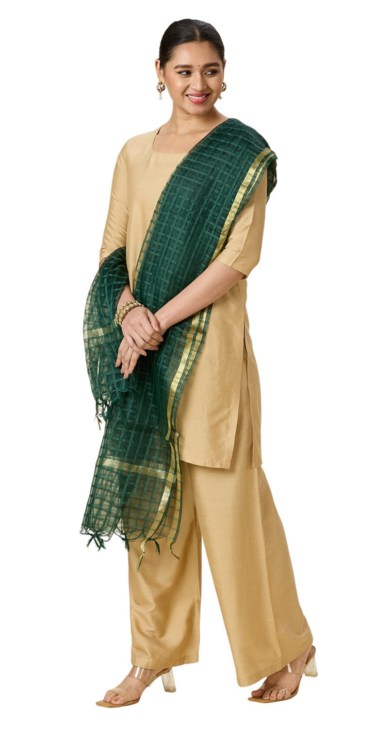 Women's Chanderi Silk Blend Handloom Checks Dupatta (32" X 2.35 Meters) (2964 - Green)