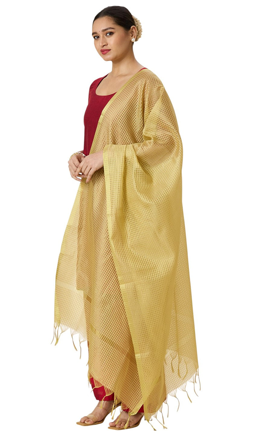 Women's Golden Checks Dupatta (35" X 2.45 Meters) (2966 - Gold)